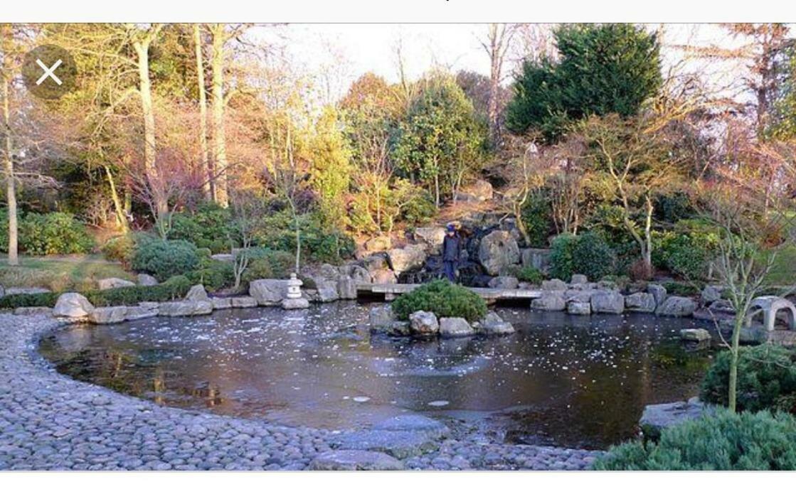 לונדון Holland Park Apartment מראה חיצוני תמונה